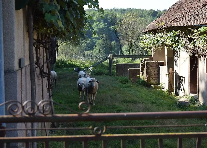 Prázdninový dům Hetmerfoeldes Vendeghaz Szaknyér
