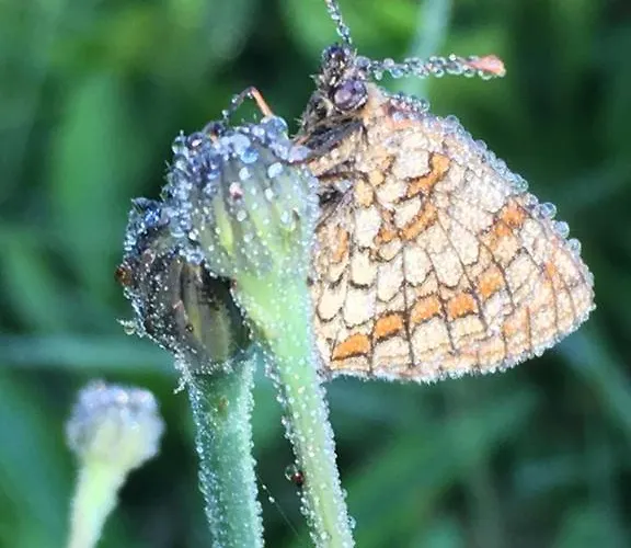 Hetmerfoeldes Vendeghaz Prázdninový dům Szaknyér
