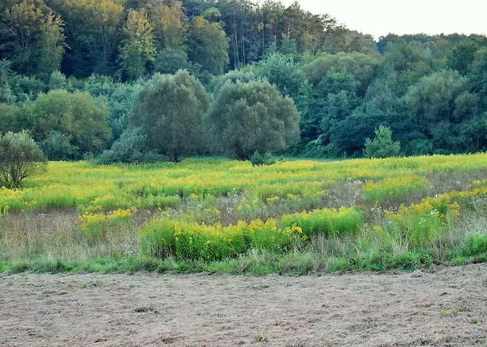 Prázdninový dům Hetmerfoeldes Vendeghaz Szaknyér